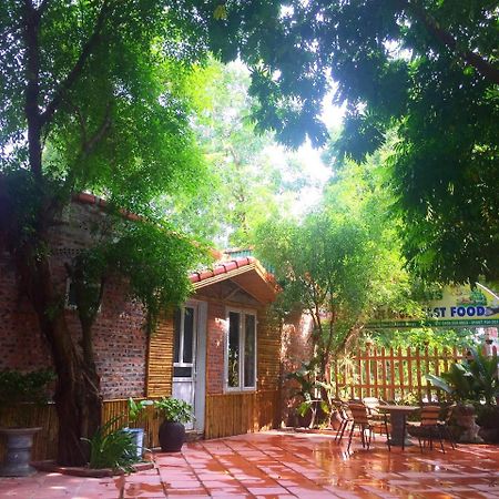 Tam Coc Green Fields Homestay Ninh Binh Esterno foto