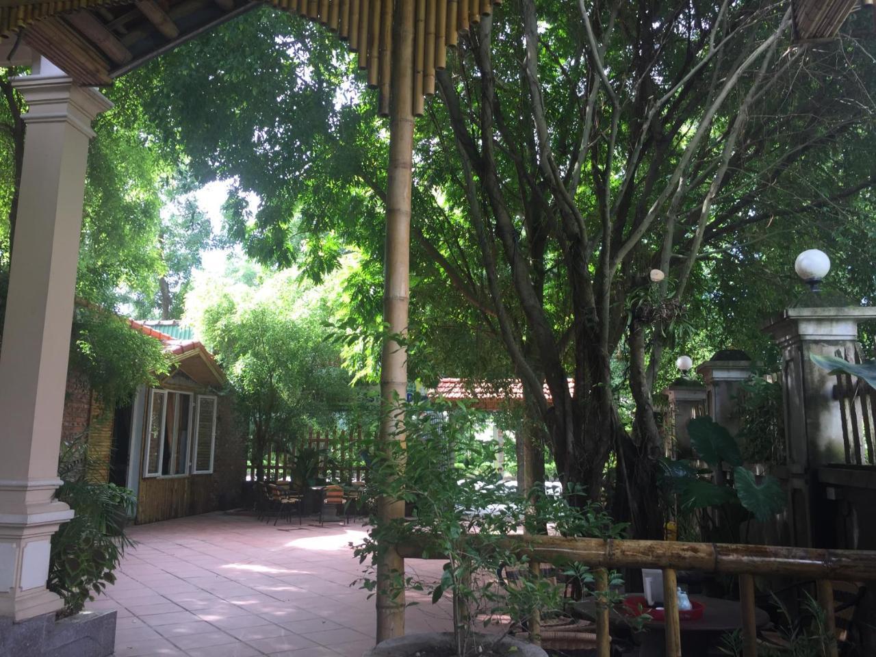 Tam Coc Green Fields Homestay Ninh Binh Esterno foto