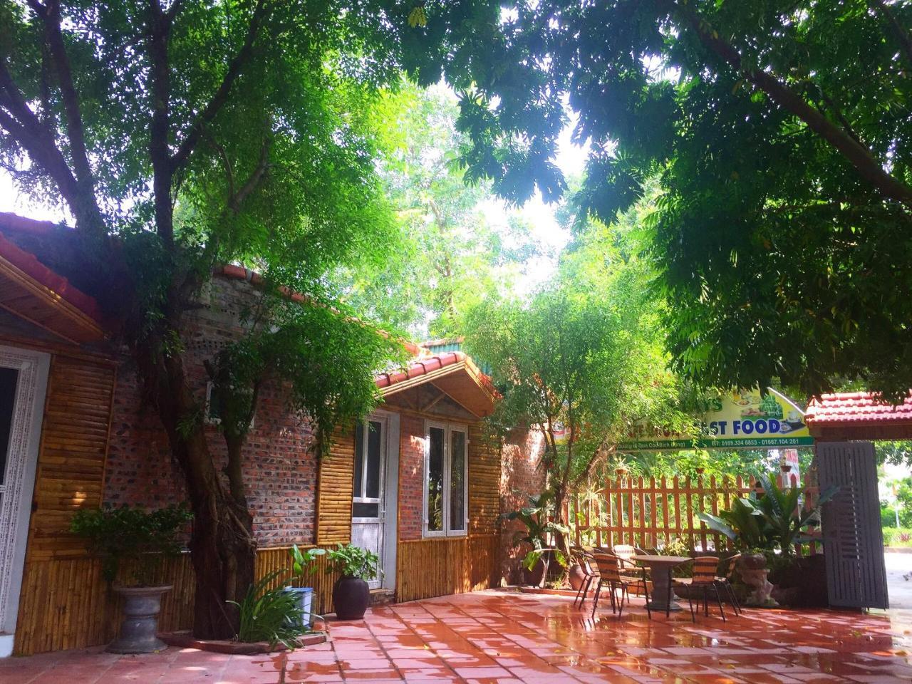 Tam Coc Green Fields Homestay Ninh Binh Esterno foto